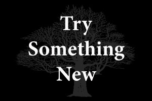 Try Something New 2